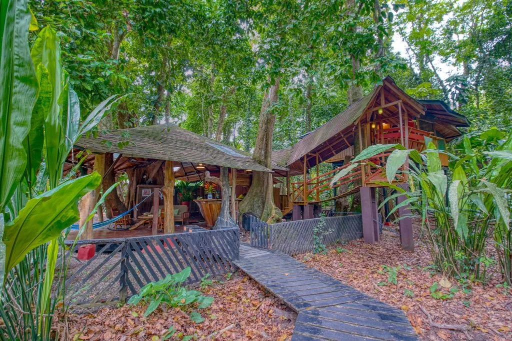 Tree-House--(32)